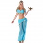  BELLY DANCER, Arabian, JASMINE, Genie Costume